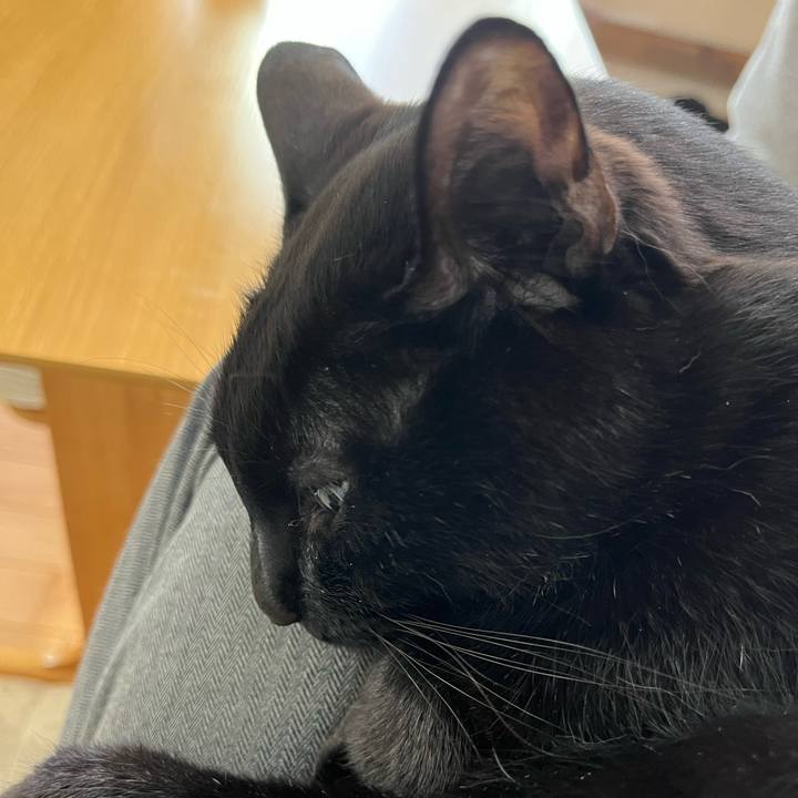 B0299a46 d100 45be afa6 58417cd0496b 1649113349908