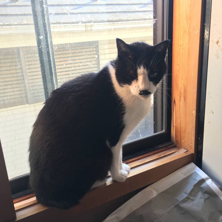 B029a344 06e1 4421 a451 b7e71a1a6b43 1518858263533