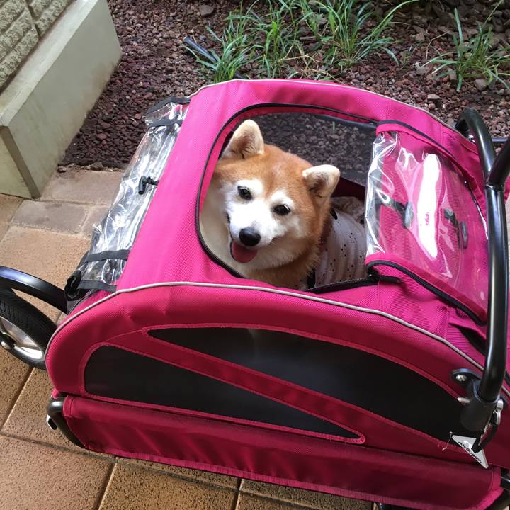 B029e33f 0b81 47e7 82a7 7da84742791d 1534770877667