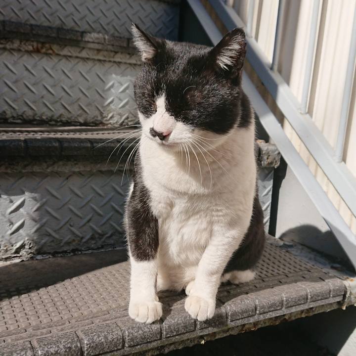 B02a856c cbcb 4180 8514 9490135006e2 1547866355101