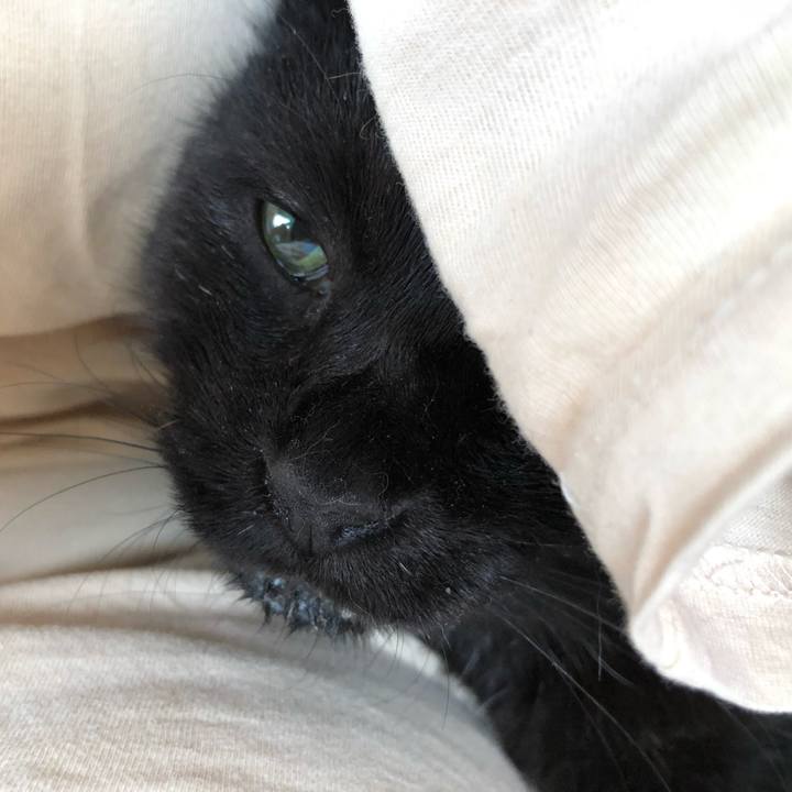 B02a9d47 2783 4fb9 bc3f efe3b80edc0a 1631930544611