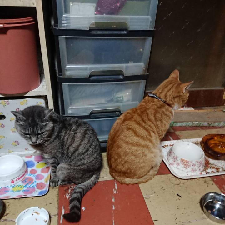 B02a9d79 8664 4c0e a9ad 16b6075621f5 1571302746097