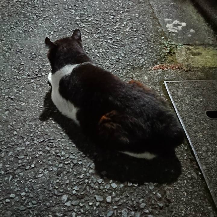 B02aaa3e 79d2 4370 a870 bb02f16cbd77 1687784349330