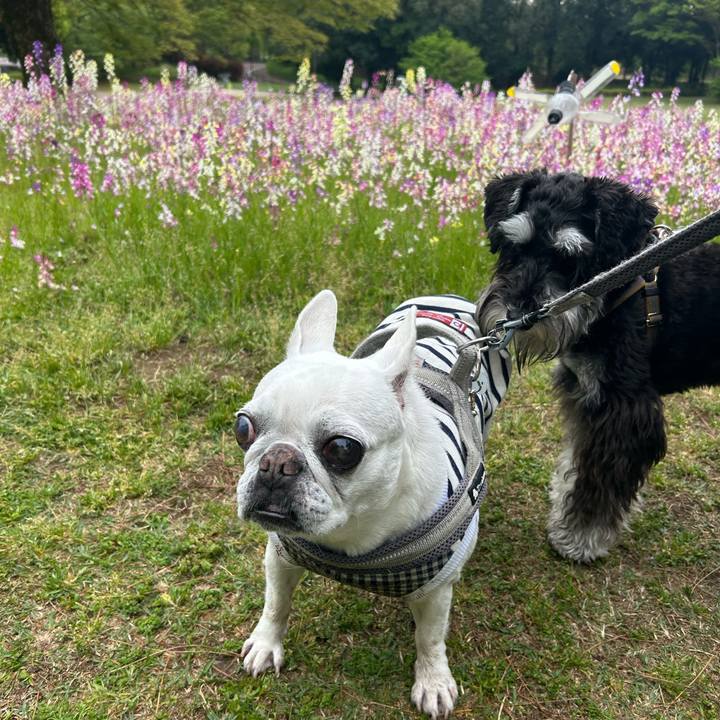 B02ad149 d26c 40ce ac35 0df417664915 1745115984616