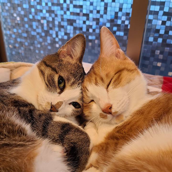 B02ad420 b41c 43bd bfe8 65ad18c07ed5 1677499005028