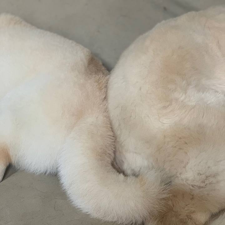 B02ad6ee db3b 4747 a591 bbb4559c9b82 1589198046369