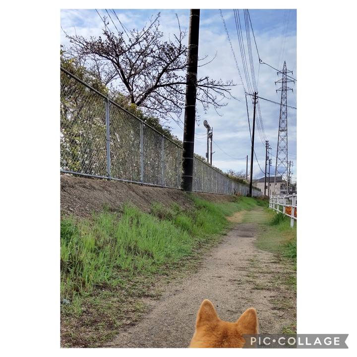 B02ae8f9 b018 49ae bf3c 26fda8c26cb9 1712206380313