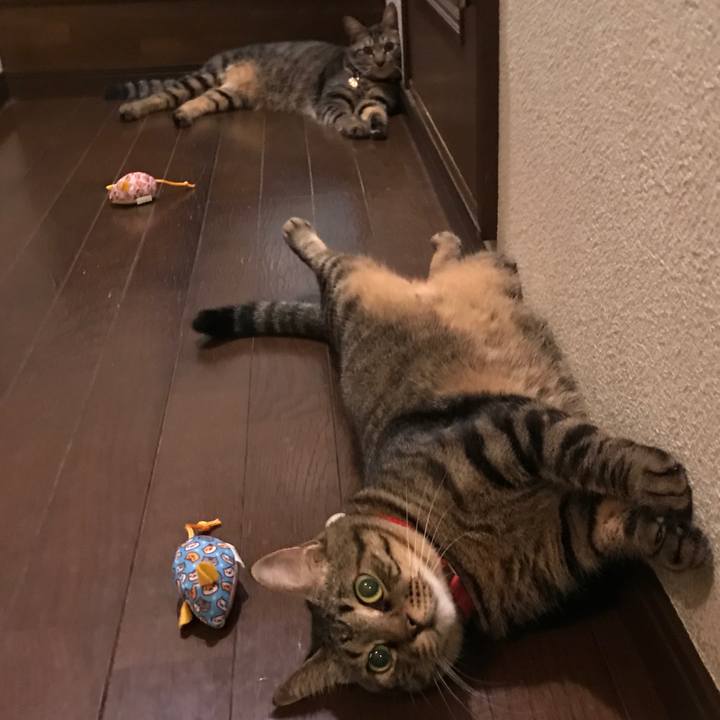 B02af121 59d6 486f 96bb 10e685bfd0c2 1626354089879