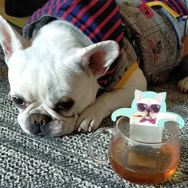 B02b0770 1f84 42e8 98eb 4d83aa2314dc 1644967702977