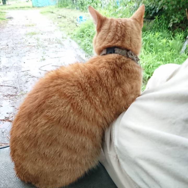 B02b08cb 3d8f 4327 b33e 4c32bf1d8d7c 1595623740503