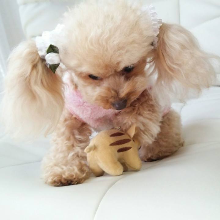 B02b1ac2 51d4 4cb6 bf94 2995ac7105b6 1547812724864