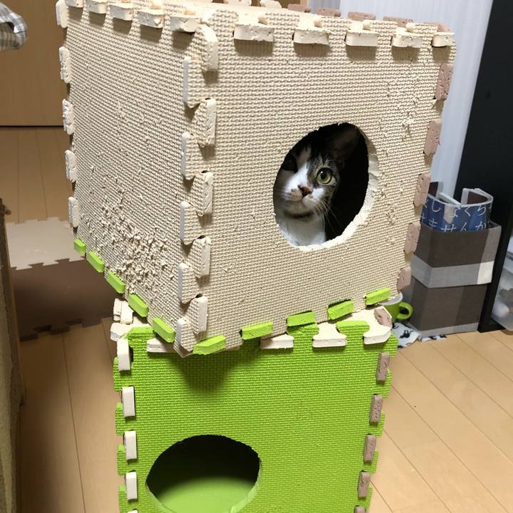 B02b538d 1b61 41ea 830a 3981a625f04e 1519612613864