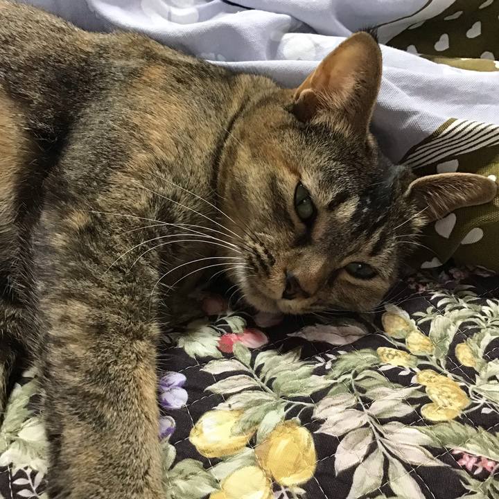 B02b5932 fa5f 44f7 b2a2 08ab3e48c395 1634632426662