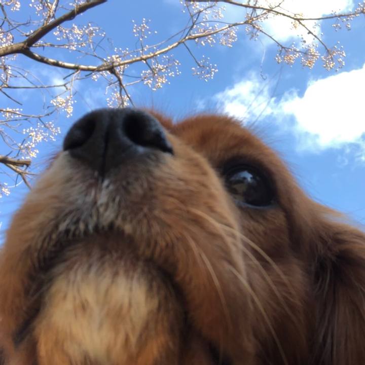 B02bbb10 85c3 4acb 8587 29129969457b 1577944718978