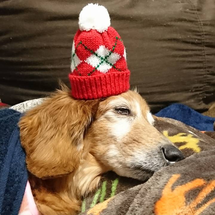 B02bcc08 c052 4925 9795 e4c7c6b5c176 1514129138924