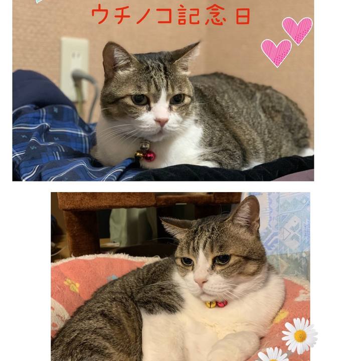 B02bcf5e 92ac 4b5e a10a b181aee25576 1613953967007