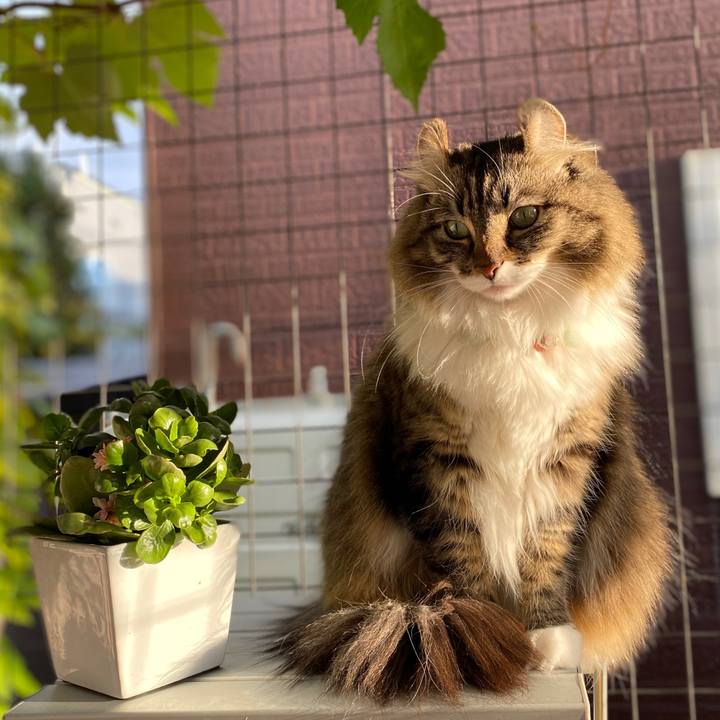 B02c10a1 fd45 4429 b5f9 58d9389a0590 1604154822696