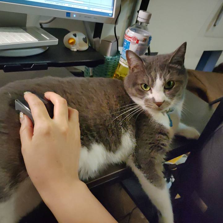 B02c5ccf 09e6 4db7 a45e 26c82d42ee68 1681896533828