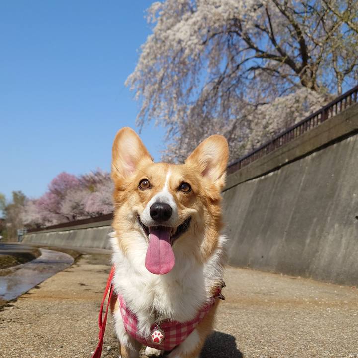 B02c7661 43b0 437c 976a ede213b7ee08 1777195859376