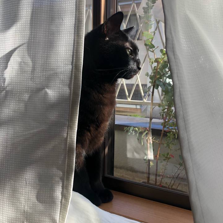 B02cac53 76a9 428c aa8e a2374b13d52d 1586849496771