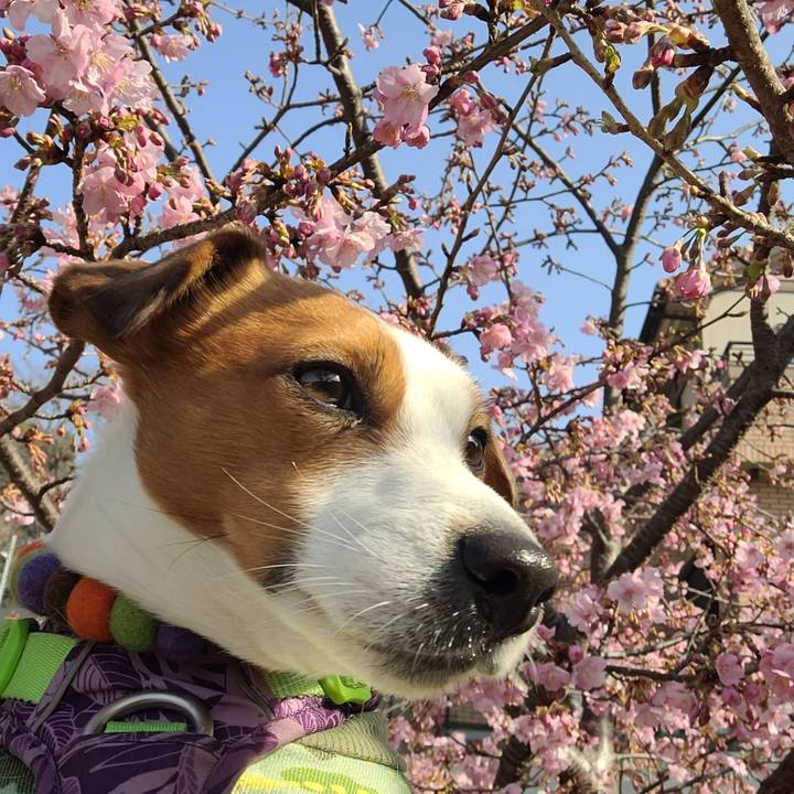 B02cbb64 8efb 482c 8204 9e16f8f5f00d 1646559593555