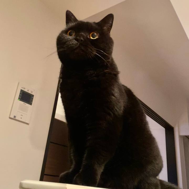 B02cd54d 7ffa 43de afd3 f790adfe8b34 1746277018205