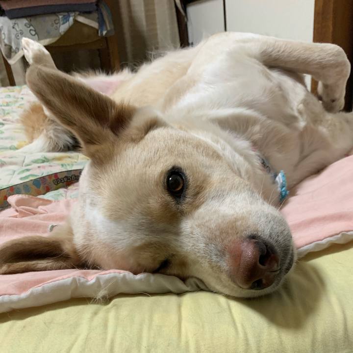 B02cfc9b 5040 440e b533 7c3903a70da0 1554299598022