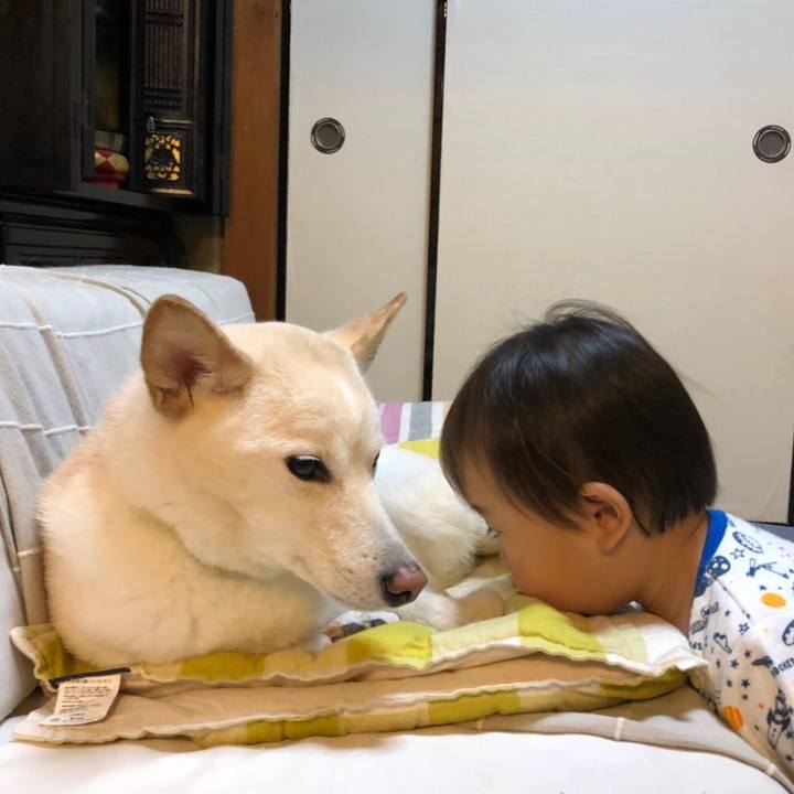 B02d1080 a45e 41d5 a617 ed660408a5aa 1540625216637