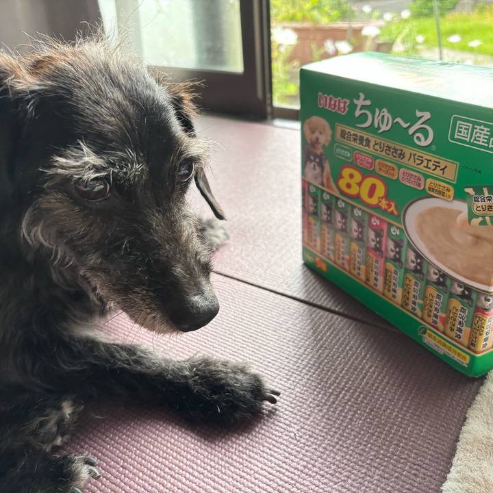 B02d677f 3e8a 4850 8517 0f20beff1e13 1752364633528