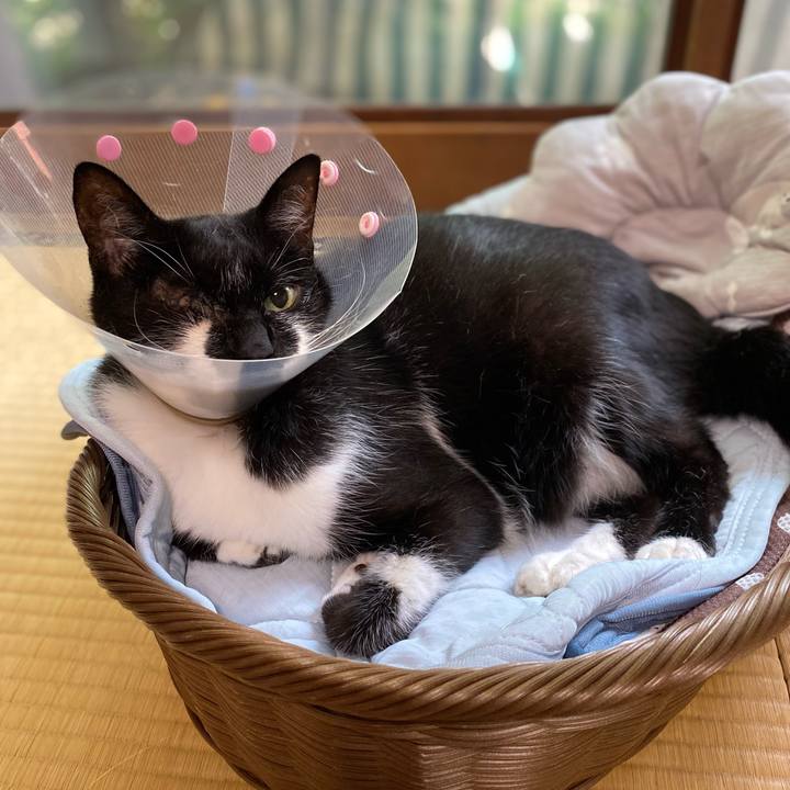 B02d7896 4f21 4045 ac0b a7d31c6ddd6b 1658195125017