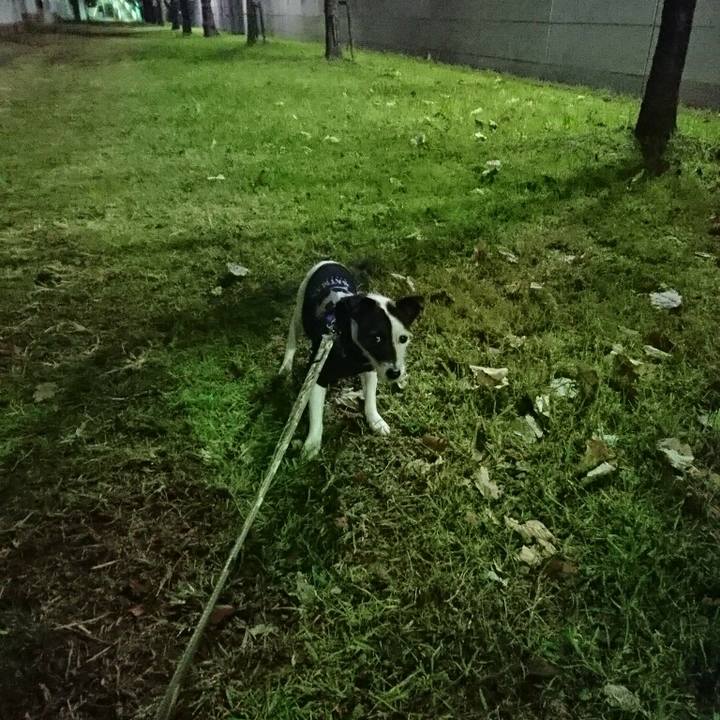 B02d9588 0b43 455a 898f 0cbfb615ddc5 1513427851266