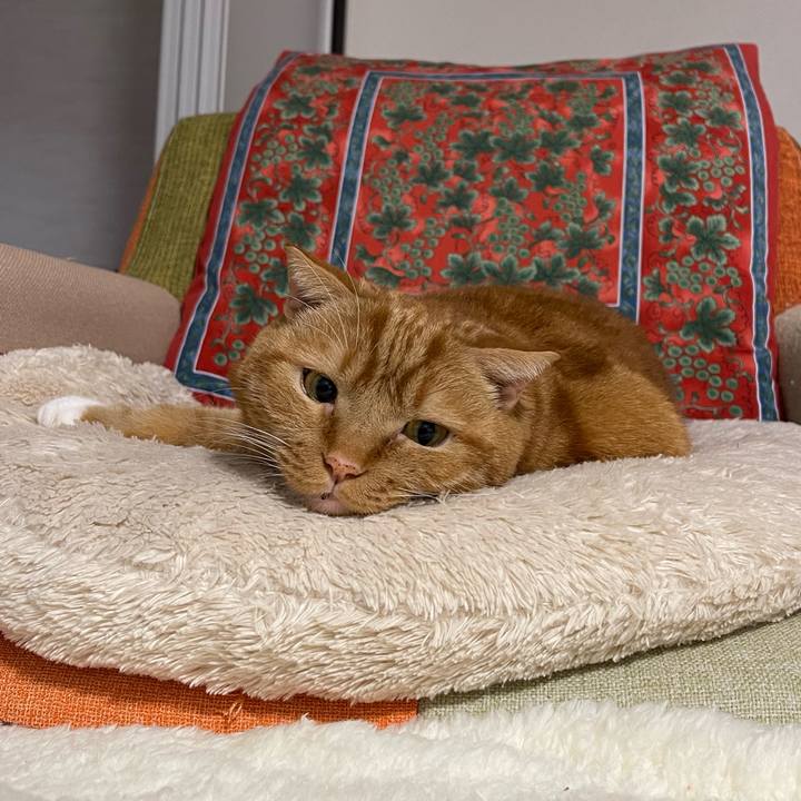 B02dbe76 dbc8 4200 8657 68e2e48bb7b0 1709040481996