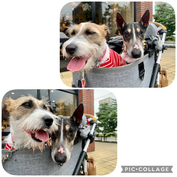 B02dd260 93a6 46c8 8b46 0aa2b0e91896 1626178156129