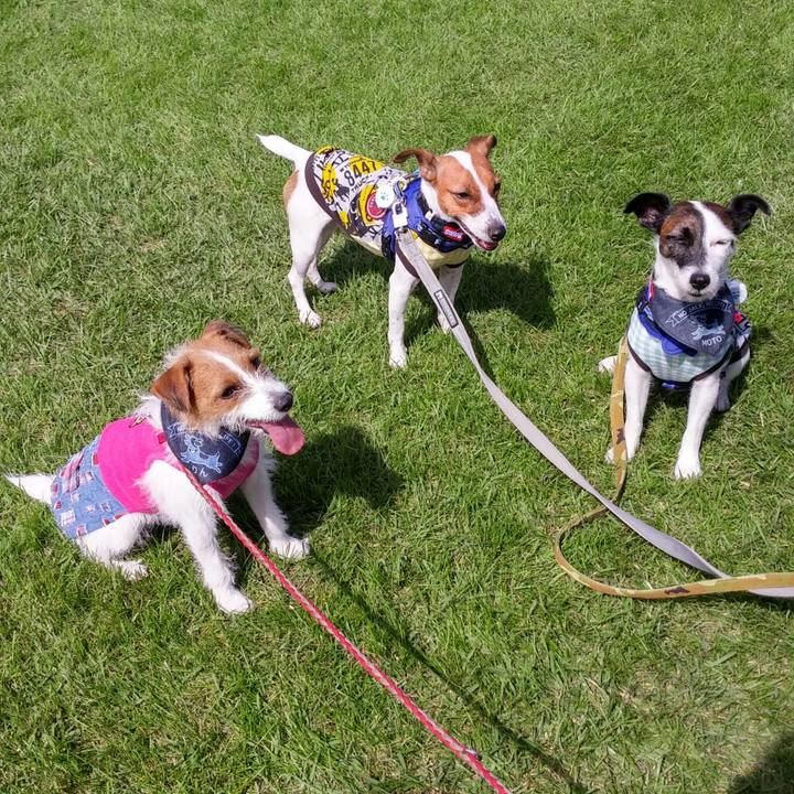 B02e1541 fdeb 4f56 b21e 89a6838168bc 1537666402119