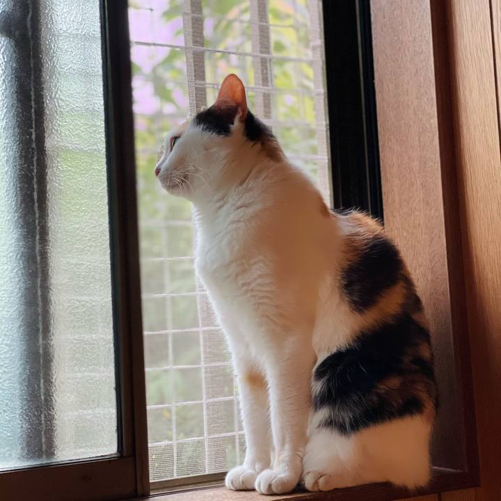 B02e50cb 1402 42c5 8475 36d521b6db79 1632362331620