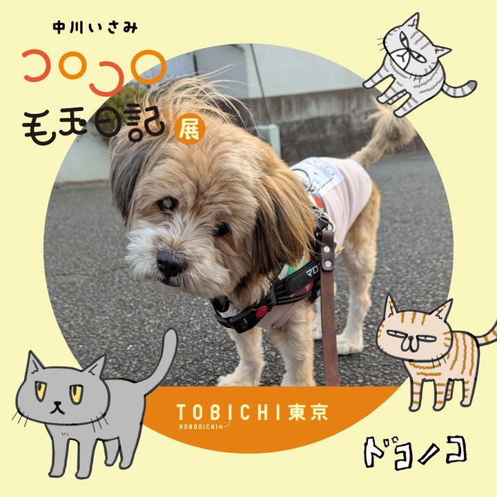 B02e51b1 4940 43b4 8a51 99160d49d9b2 1740179603333