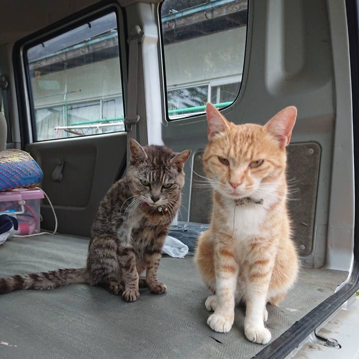 B02e5519 02dd 4eaf b923 1d16c5c0fdc1 1591954773895