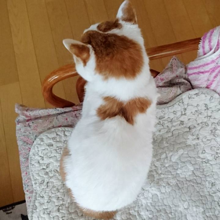 B02e5613 7b27 4973 9dd1 448a71f50ca1 1577836194769