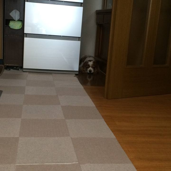 B02e63c4 f2bc 4015 9cea 9ee13f1a549b 1575298919922