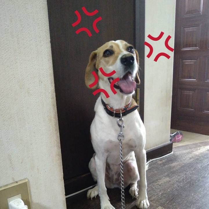 B02e6687 2d60 4a3b 8e7e a5206c42ed3e 1626438108176