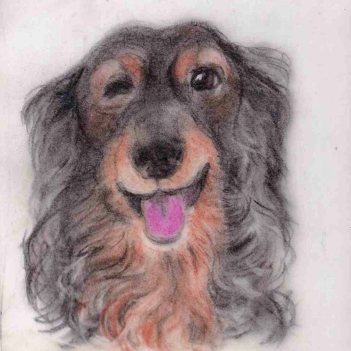 B02ebde1 c7f7 4511 861c b9983320cb1c 1643123333198