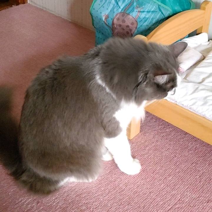 B02ecb9e fbdf 42fd 8686 b7d7dfddd9a0 1595558897444