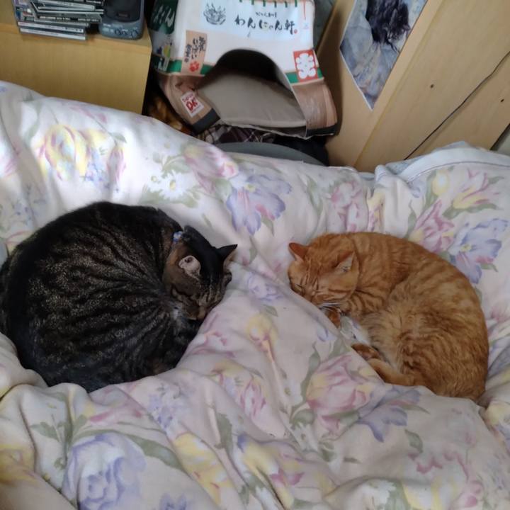 B02ed626 fe54 4325 9d33 3156cf1bc5c5 1696488175791