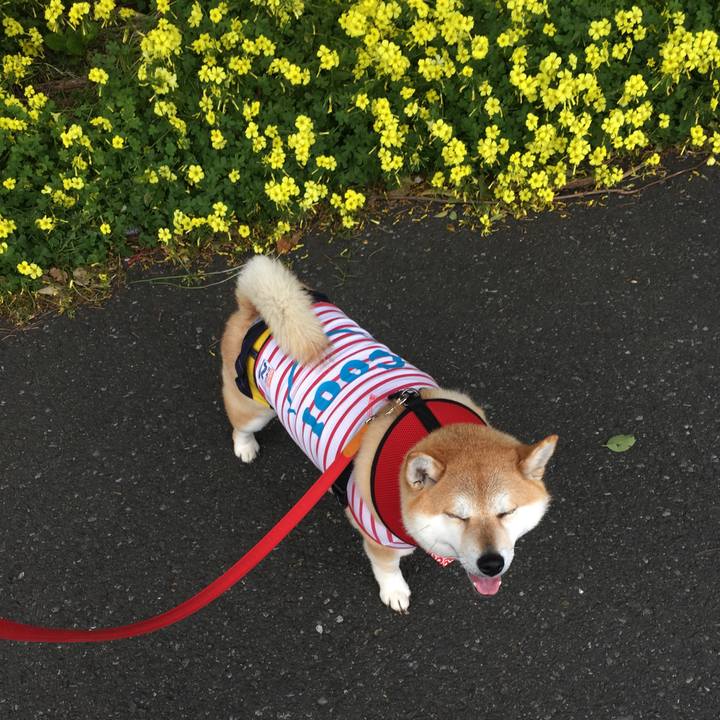 B02ef710 ee57 4bc7 8303 b982b28c1dab 1585286833219