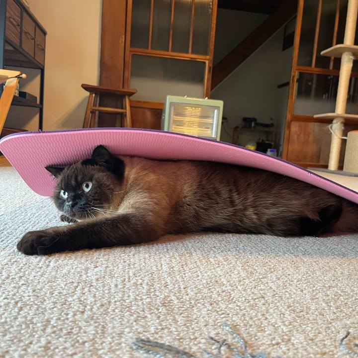 B02f10b0 2946 4f4d 8bb3 bd62c171e81e 1649635486600