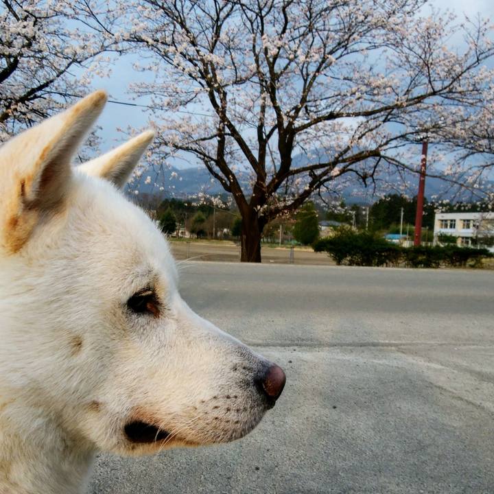 B02f2be5 2bd9 4b64 9953 960ad5c4605d 1522794320036