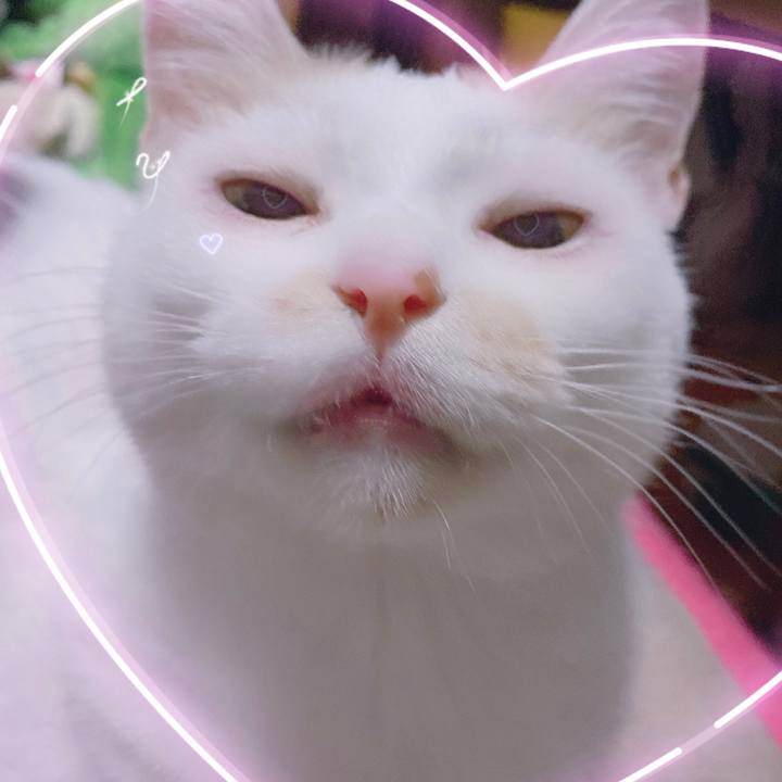 B02f4f22 0d0b 43ff b816 cdcf62b45ee0 1597331102467