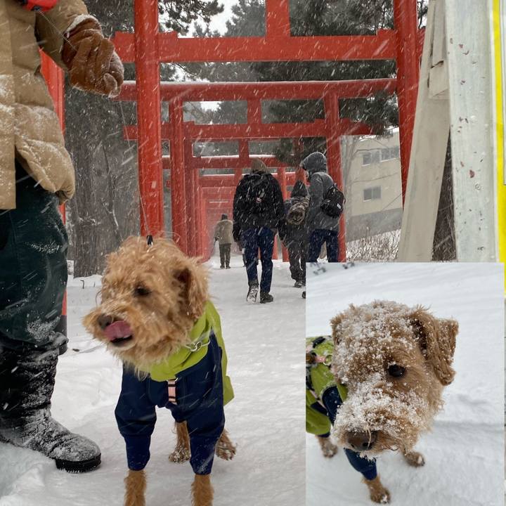 B02f764c 2b04 4a50 9fce 294c5157def0 1641009880071