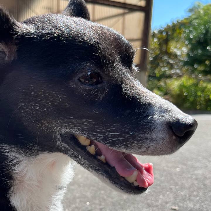 B02f8d7d 3e37 40fc b9bf 2a9dd6deeb7f 1665843213975