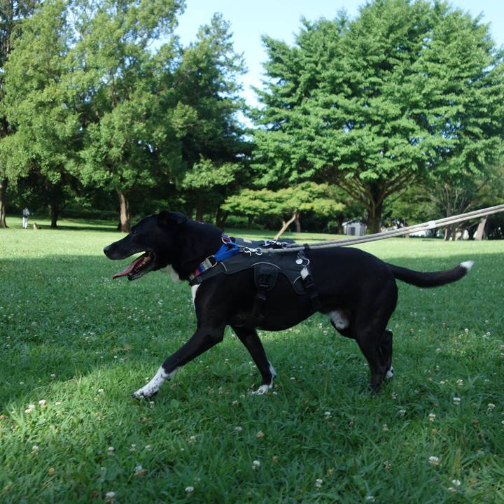 B02f8fee 0125 4d70 ae40 d61d42bc5105 1656980077982